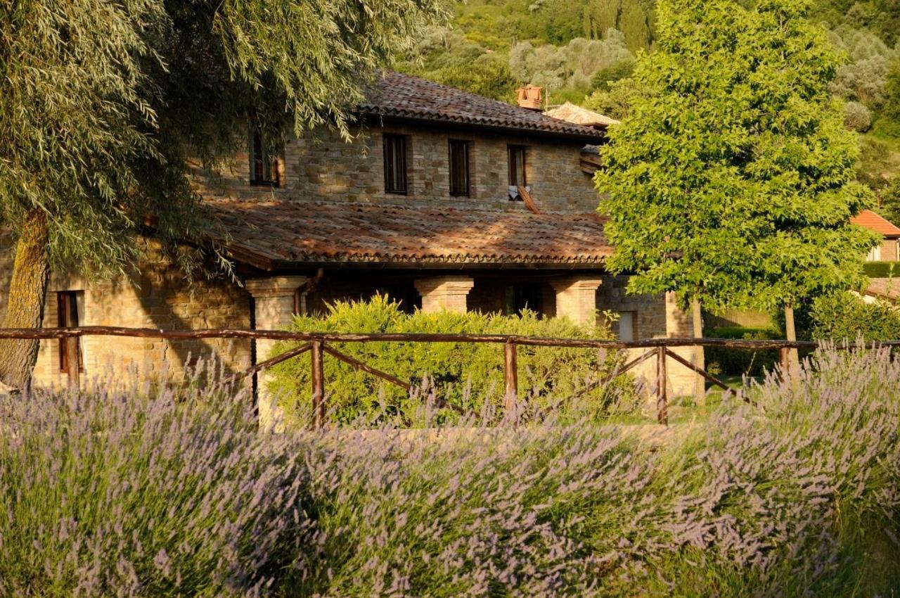 Agriturismo Le Case Assisi Buitenkant foto